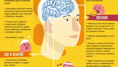 Photo of Психология памяти: как улучшить запоминание информации