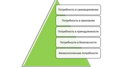 Photo of Психология мотивации: что мотивирует действия