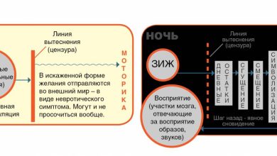 Photo of Психология сновидений: что они означают