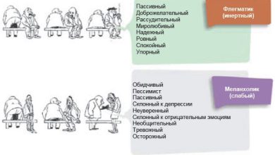 Photo of Основные типы темперамента человека