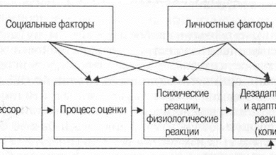 Photo of Характер и психологическая устойчивость