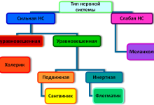 Photo of Темперамент и стрессоустойчивость
