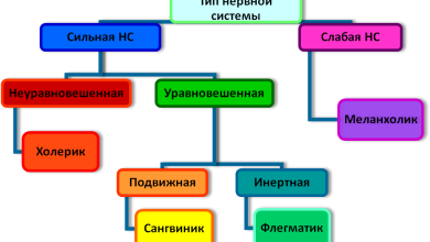 Photo of Темперамент и стрессоустойчивость