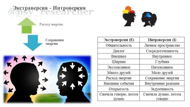 Photo of Экстраверсия и интроверсия личности