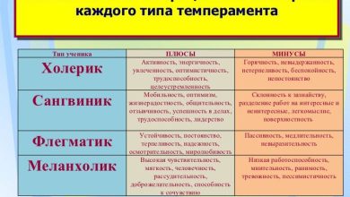 Photo of Как развивать положительные стороны темперамента