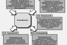 Photo of Психология развития способностей