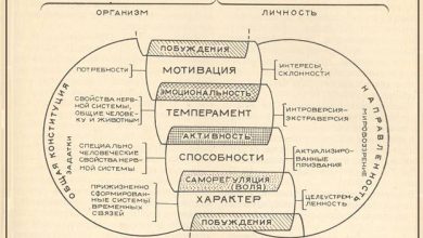 Photo of Психология индивидуальных способностей
