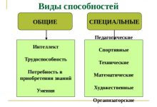 Photo of Типы способностей в психологии