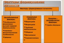 Photo of Факторы формирования индивидуальности