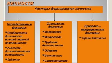 Photo of Факторы формирования индивидуальности