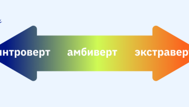 Photo of Психологические особенности экстравертов и интровертов