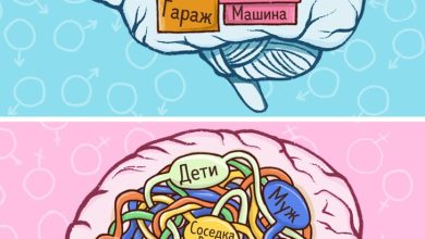 Photo of Психология эмоций у мужчин и женщин