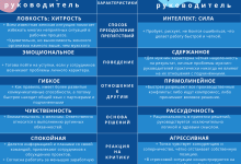 Photo of Женщины и мужчины: особенности поведения