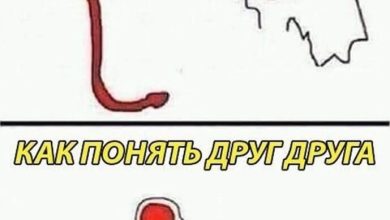 Photo of Как понять мужскую психику?