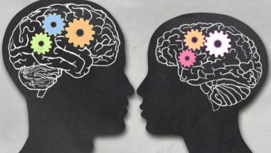 Photo of Женский мозг: загадки и особенности