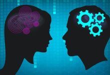 Photo of Психология ролей: мужчины и женщины