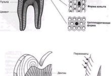 Photo of Что такое отбеливание зубов и как оно работает