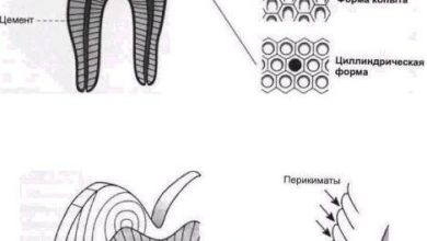 Photo of Что такое отбеливание зубов и как оно работает